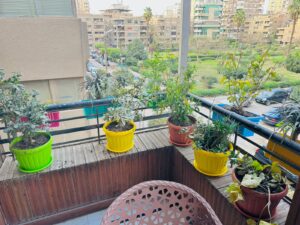 دار مسنين , دار مسنين بمدينة نصر , دار مسنين مسيحية,دار مسنين بالقاهرة ,دار رعاية المسنين في القاهرة ، دار مسنين بالمعادي، دور المسنين بالقاهرة , اسعار دار المسنين , دار المسنين فى مصر , دار رعاية المسنين بالقاهرة , دار رعاية المسنين ,دور رعاية المسنين بالقاهرة , عناوين دار المسنين بالقاهرة , دار مسنين, دار المسنين بمصر , دار المسنين فى القاهرة , دور رعاية المسنين ، دار مسنين بالقاهرة ، دار المسنين بالقاهرة بحث دار رعاية المسنين، دار رعاية المسنين بالمعادي,دار مسنين بالجيزة , دار مسنين في الجيزة